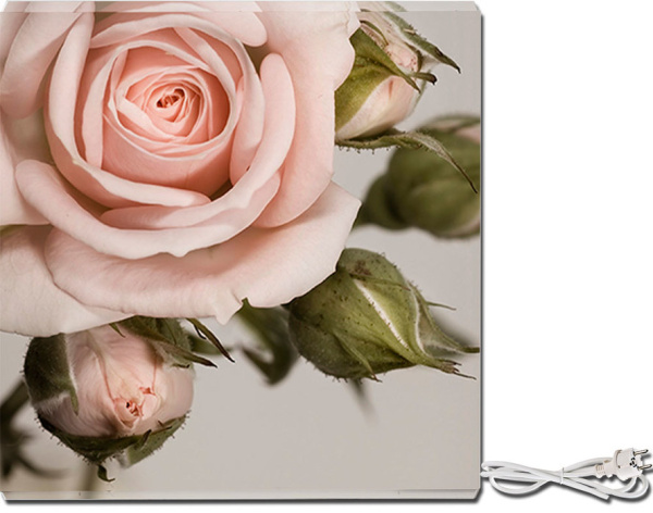 СТЕП 250/0,59 x 0,59 УФ-печать